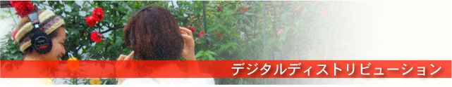 デジタルディストリビューション